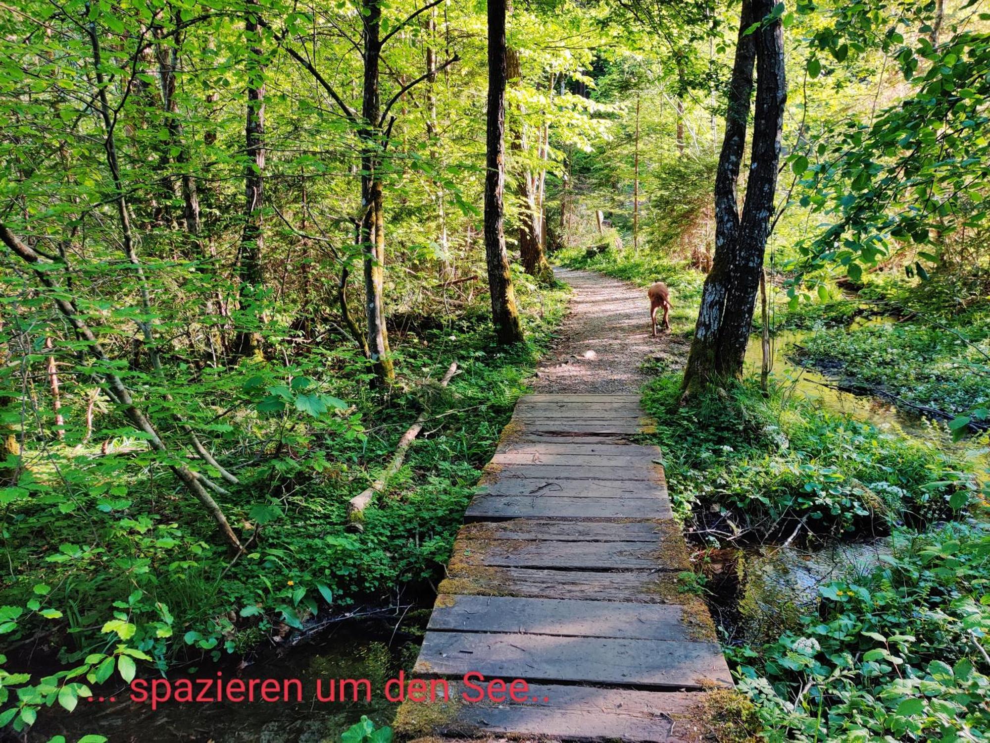 Wellness Apartment Keutschach Lakes Valley Keutschach am See Ngoại thất bức ảnh